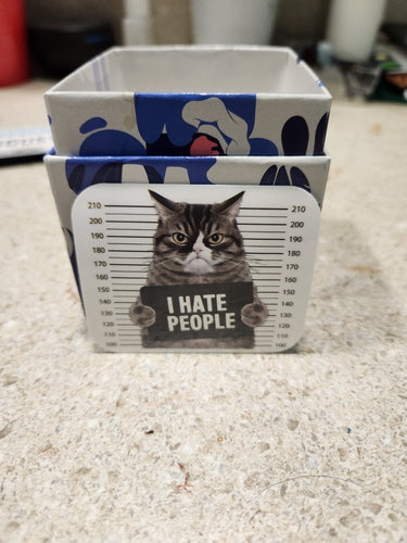 I Hate People Mugshot Cat Sticker - Sticker - Charm and Char